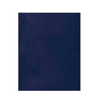 Тетрадь 48л кл А5 бумвинил